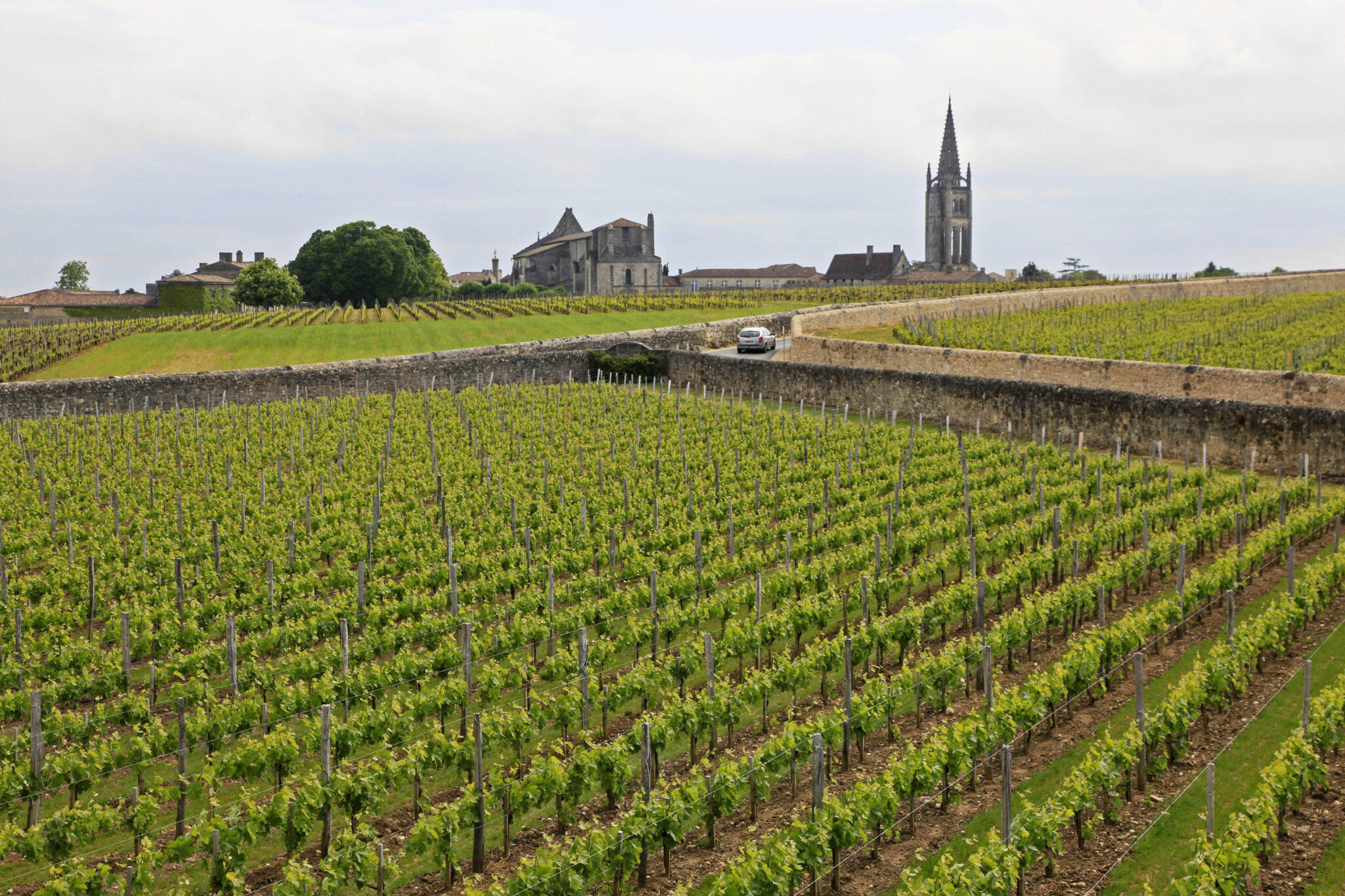 Bordeaux verzus zvyšok sveta: za ktoré víno platia špekulanti najviac