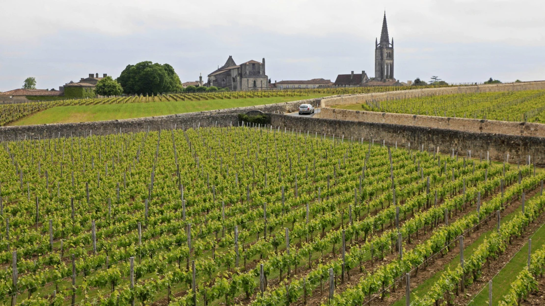 Bordeaux verzus zvyšok sveta: za ktoré víno platia špekulanti najviac