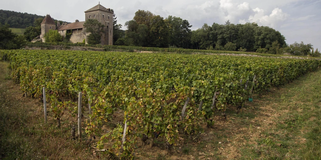 Čo stojí dokonalosť v roku 2018: Champagne, Burgundsko a Bordeaux