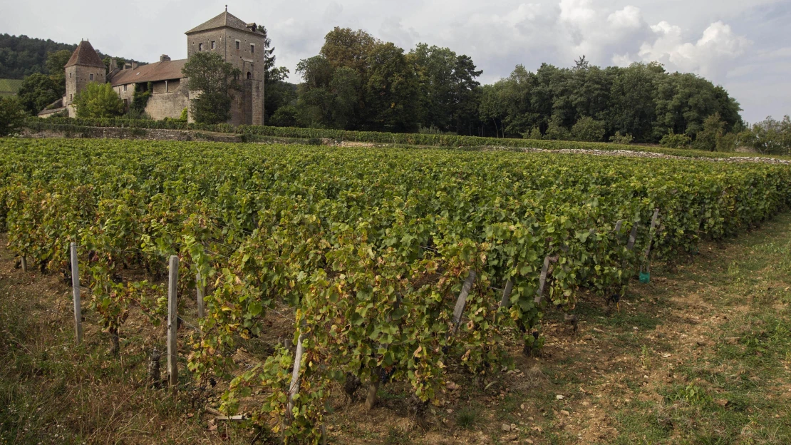 Čo stojí dokonalosť v roku 2018: Champagne, Burgundsko a Bordeaux