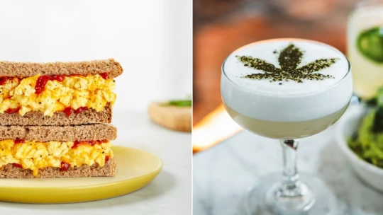 Toto je 5 gastro trendov pre rok 2019. Nájdete tu marihuanu i laboratórne proteíny
