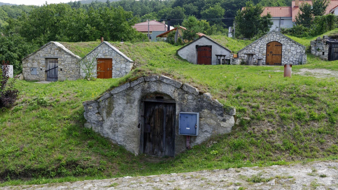 Najdrahšie slovenské víno? Jedno de facto neexistuje, ale máme prehľad tých najexkluzívnejších