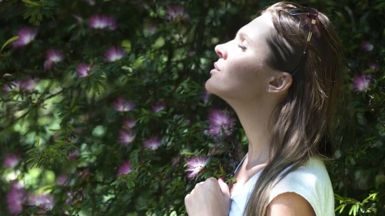 Stres v práci môže vyriešiť metóda mindfulness. Toto sú 4 tipy, ako sa do nej pustiť