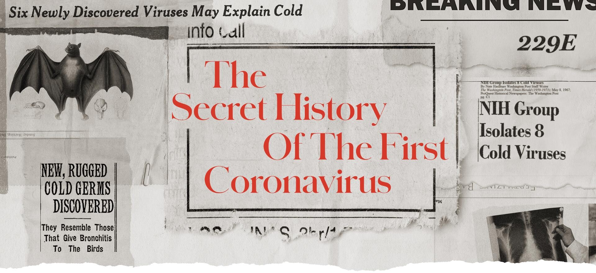 Neznáma história prvého ľudského koronavírusu. Objavili ho v 60. rokoch pri skúmaní bežnej nádchy