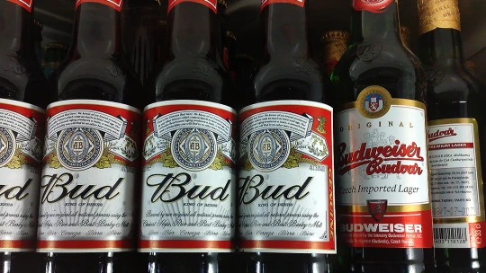 Budvar pri chuti. Český pivovar zvýšil zisk takmer o polovicu, viac produkoval aj exportoval