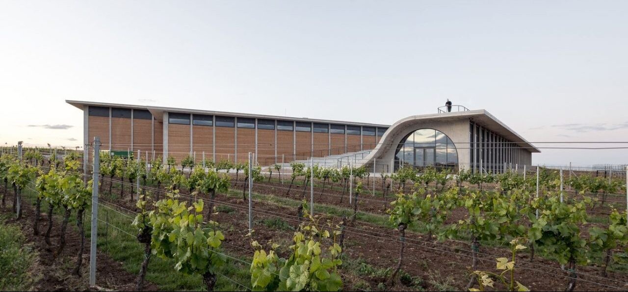 Amfiteáter medzi vinicami? Pozrite si novú budovu vinárstva Lahofer od architektov Chybík + Krištof