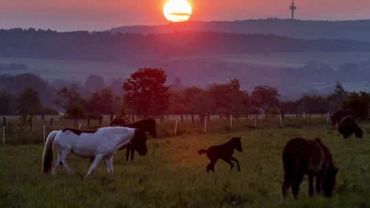 Úspešní, ale nespokojní? Čo môžete urobiť s kariérou, ak sa už do práce netešíte