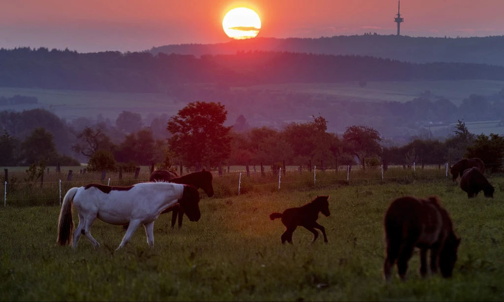 Úspešní, ale nespokojní? Čo môžete urobiť s kariérou, ak sa už do práce netešíte