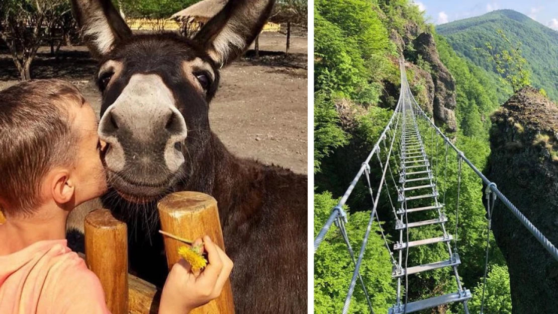 Travel blogeri cestujú s deťmi po celom svete. Toto je ich 10 tipov na výlety u nás