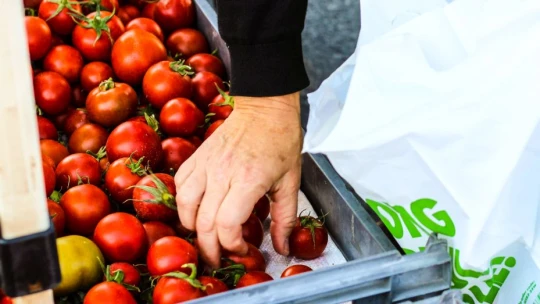 Slovenské zlato? Namiesto bryndze si hrdí Slováci radšej kúpia parmezán a španielske paradajky