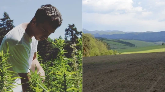 Konopu začal pestovať už na strednej škole. Na Spiši z nej vyrába potraviny aj kozmetiku