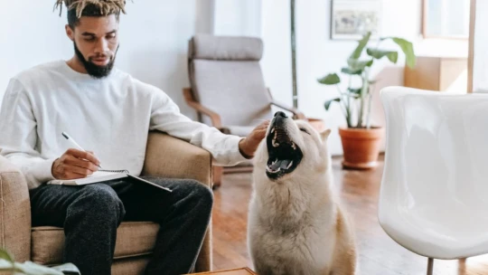 Nedokážete sa sústrediť na prácu? Tieto tipy vám pomôžu ignorovať ruchy okolo vás