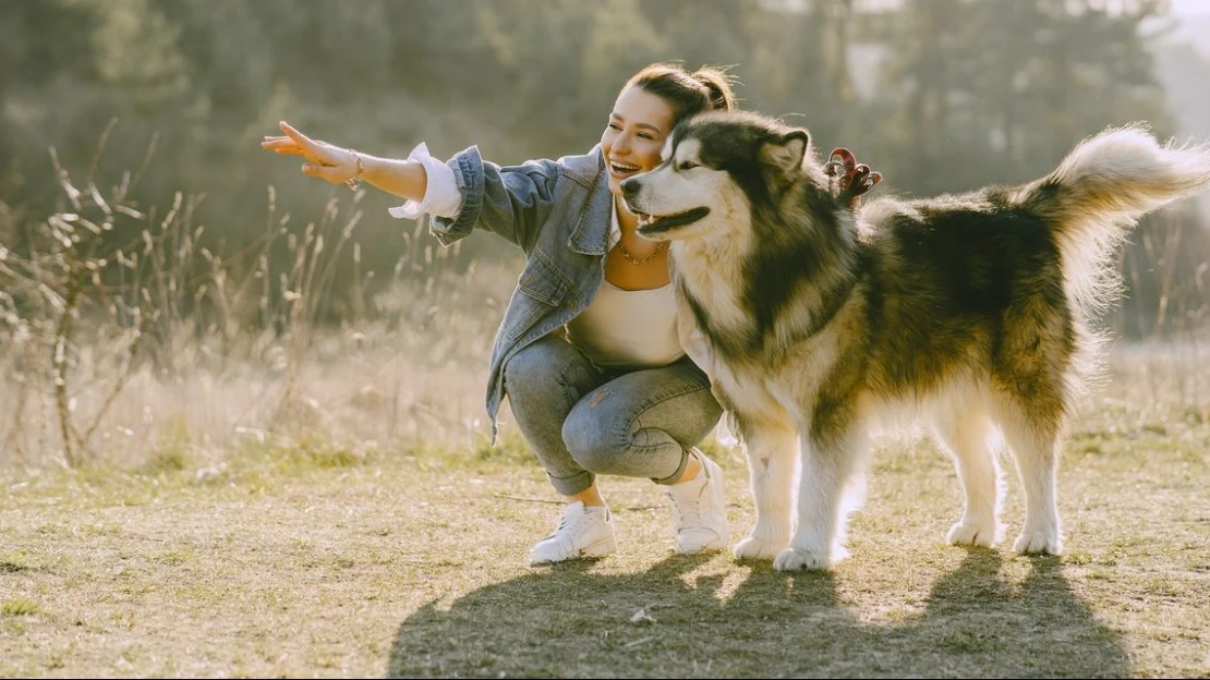 Chcete byť lepším človekom? Tieto myšlienky vám v tom pomôžu