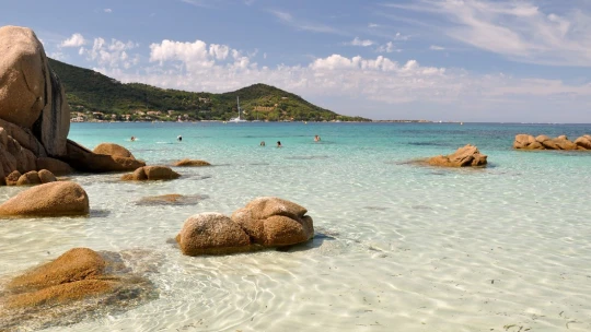 Pláže na Korzike obsadili netradiční návštevníci. A rozhodne sa ich nechcú vzdať