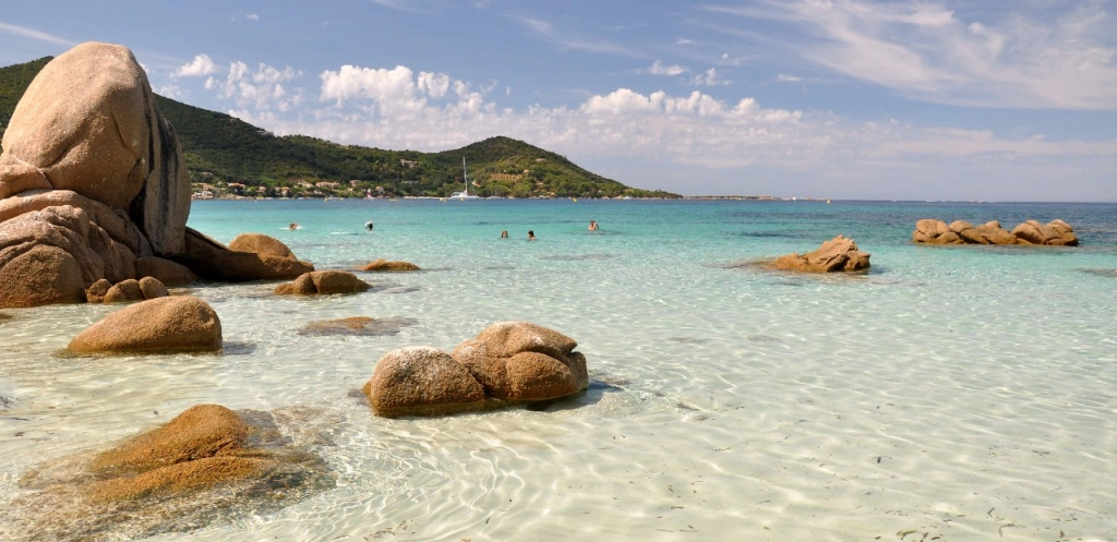 Pláže na Korzike obsadili netradiční návštevníci. A rozhodne sa ich nechcú vzdať