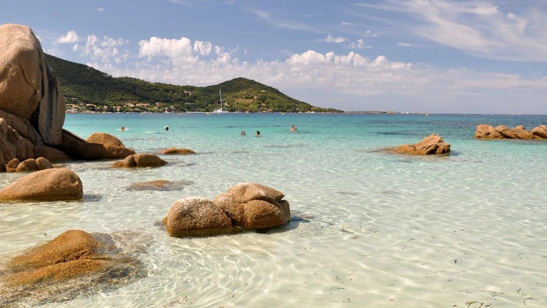 Pláže na Korzike obsadili netradiční návštevníci. A rozhodne sa ich nechcú vzdať