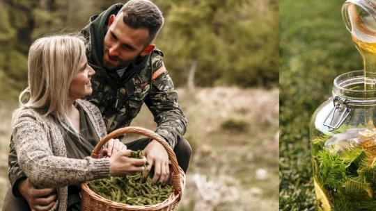 Ľuďom chcú ukázať lásku k predkom a tradíciám. Vyrábajú sirupy z mladého ihličia