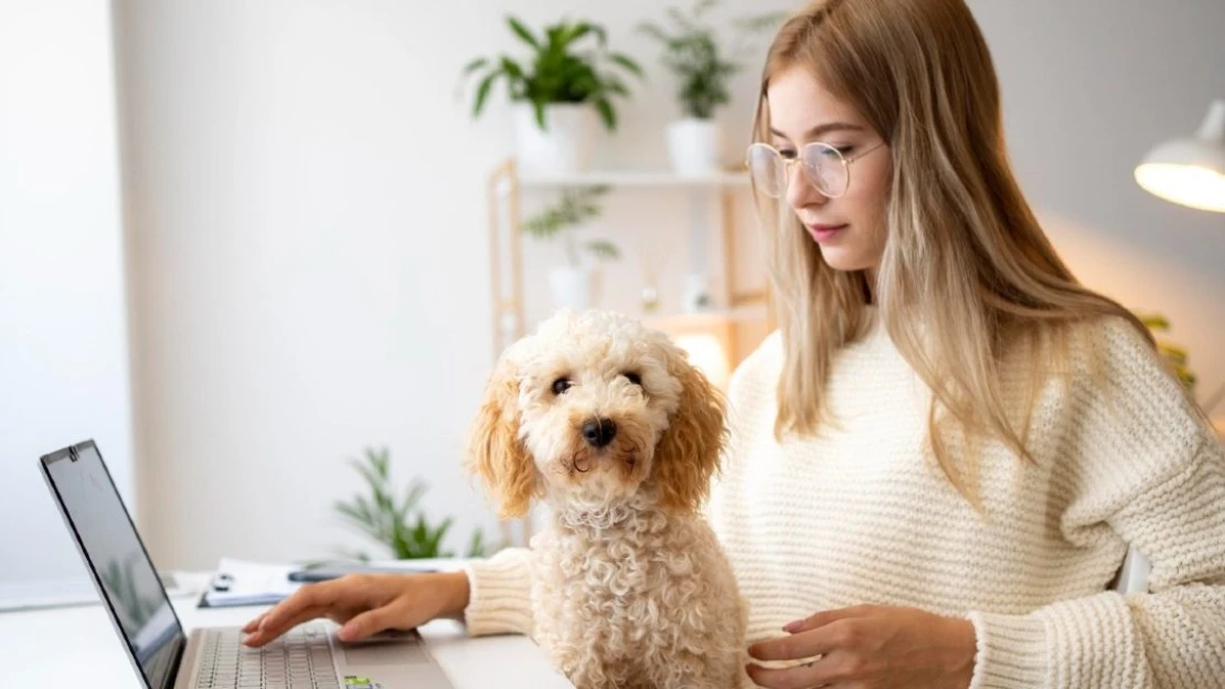 Striedate home office a dochádzanie do práce? S týmito 16 pravidlami to pôjde ľahšie