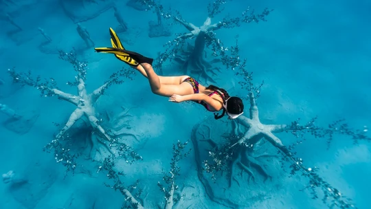 Nový park na Cypre si pozriete so šnorchlom. Uvidíte aj podmorský les