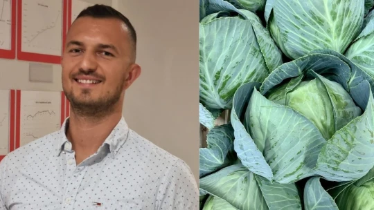 Kyslá kapusta ako biznis. Košické Horti rastie a finišuje výstavbu závodu v Maďarsku