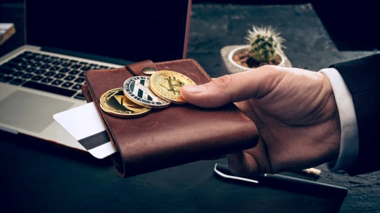 Ukradla 5 miliárd libier v kryptomenách. Odsúdili ženu za jeden z najväčších podvodov s bitcoinom