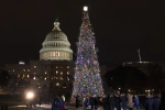 Stromček pred Kapitolom vo Washingtone D. C., hlavnom meste Spojených štátov.
