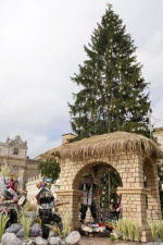 Vianočný stromček na námestí Sv. Petra vo Vatikáne.