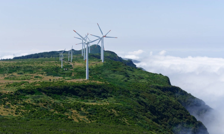 Obnoviteľné zdroje vlani vyprodukovali takmer tretinu elektrickej energie. Slovensko zaostáva
