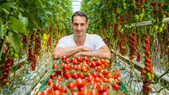 Štyria kamaráti sa pustili do bio biznisu. Ich veselé paradajky už pozná celé Slovensko