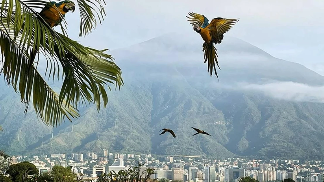 Kupujete od Venezuely? Nech sa páči, 25-percentné clá od USA vás neminú