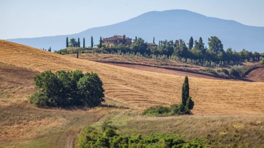 Na súkromný koncert Stinga do Toskánska? Rovno sa zastavte aj v jeho pizzerii