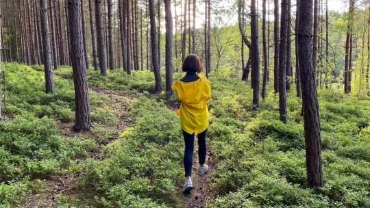 Ako sa prírodnou cestou zbaviť stresu? Skúste terapiu v lese inšpirovanú Japonskom