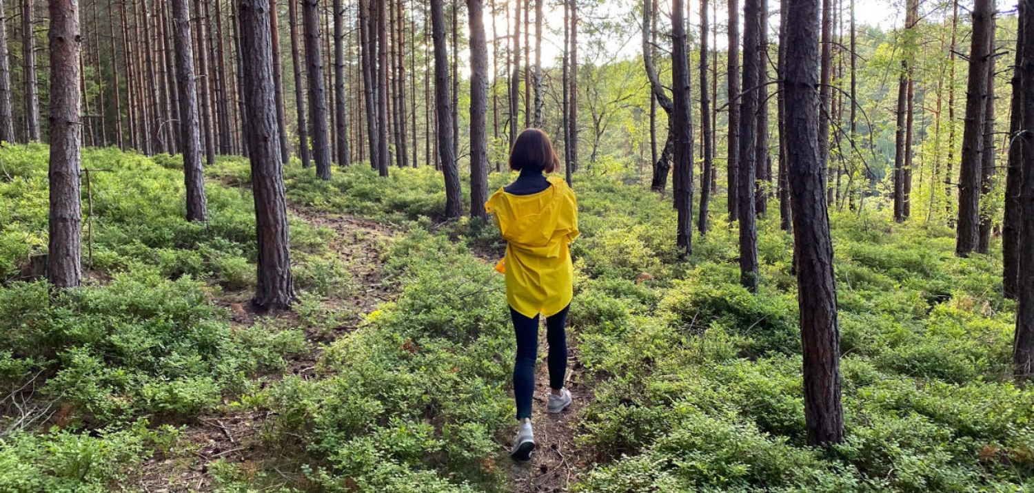 Ako sa prírodnou cestou zbaviť stresu? Skúste terapiu v lese inšpirovanú Japonskom