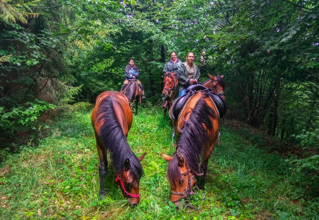 Tajomné Karpaty: Z boja proti pytliakom spravili ekologické podnikanie