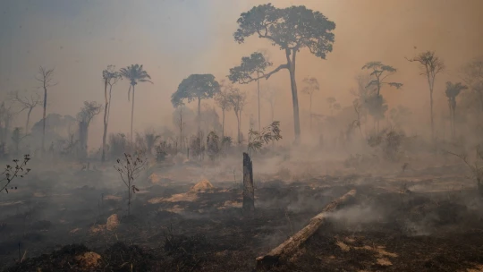 Za záchranu planéty treba bojovať vo veľkom. Malé zlepšenia už nestačia