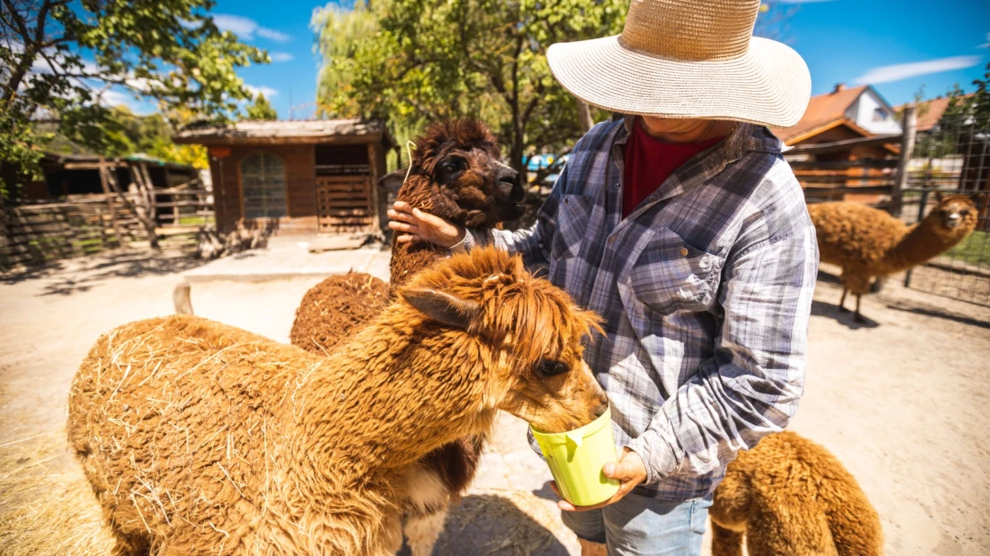 Medový raj, rodinná farma či unikátna kaviareň. Tipy na výlet na západnom Slovensku