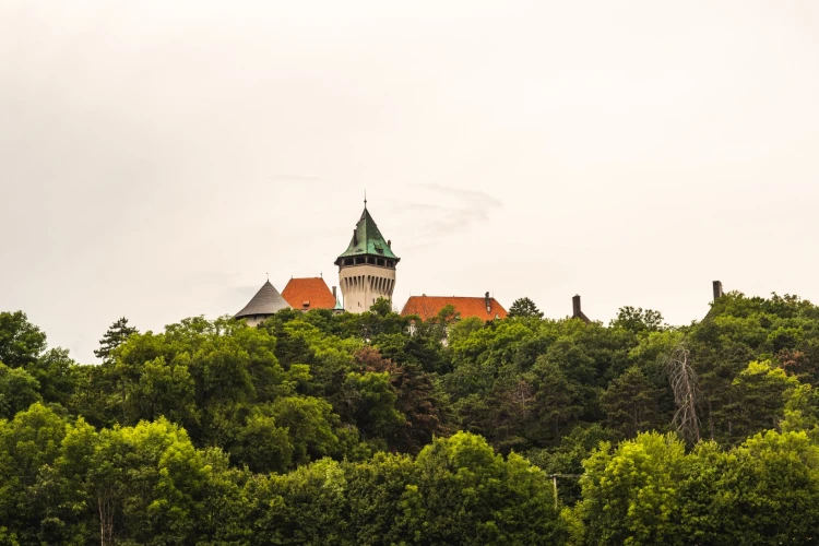 Medový raj, rodinná farma či unikátna kaviareň. Tipy na výlet na západnom Slovensku_2