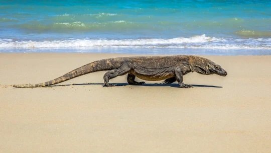 Keď turizmus škodí. Za návštevu tohto ostrova zaplatíte „balík“, zdražuje sa aj inde