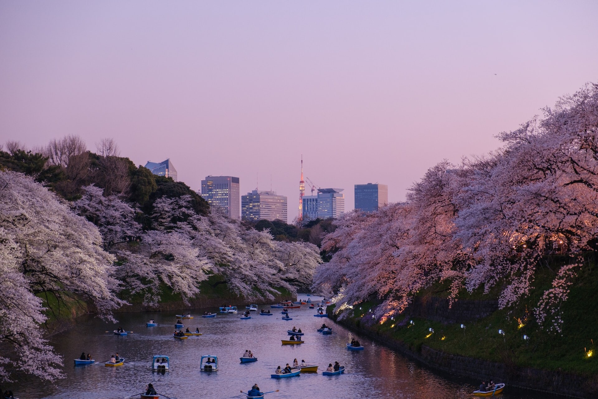 Sprievodca Tokiom: Utopický sen o meste, kde všetko funguje
