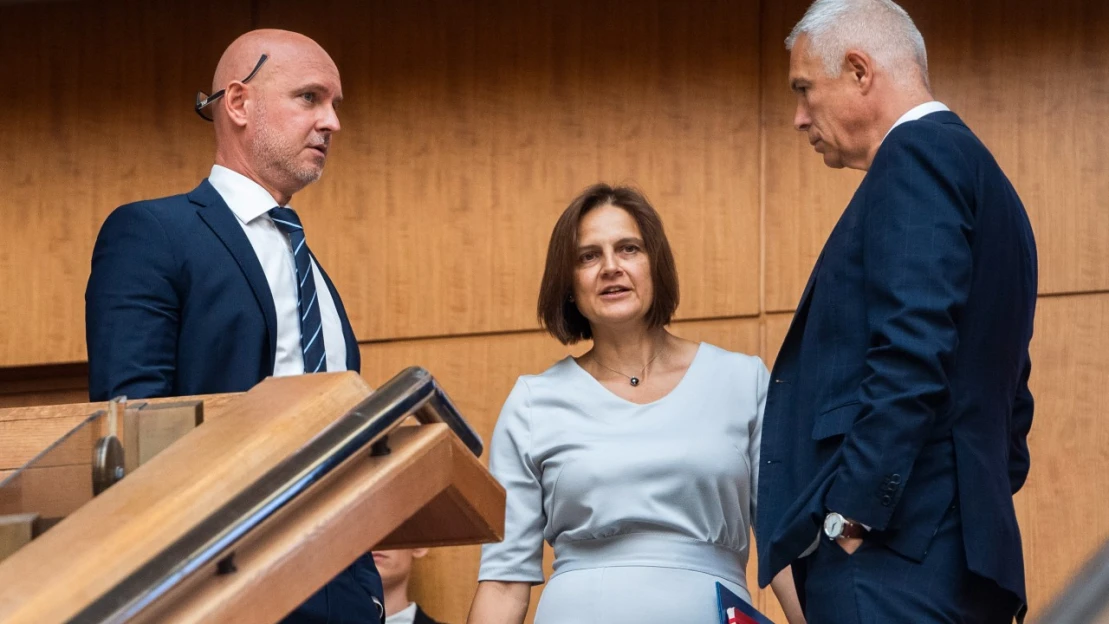 Heger ohlásil menšinovú vládu, demisiu podali všetci ministri za SaS