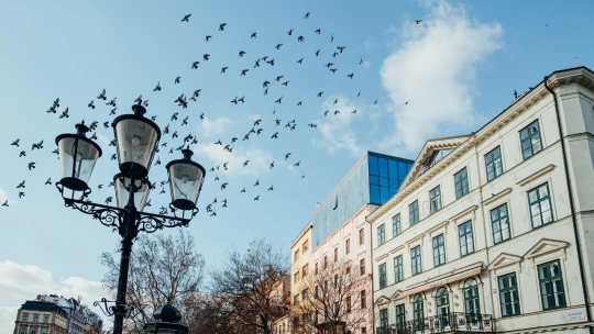 Milionár predal, milionár kúpil. Historický skvost v centre Bratislavy zmenil vlastníka