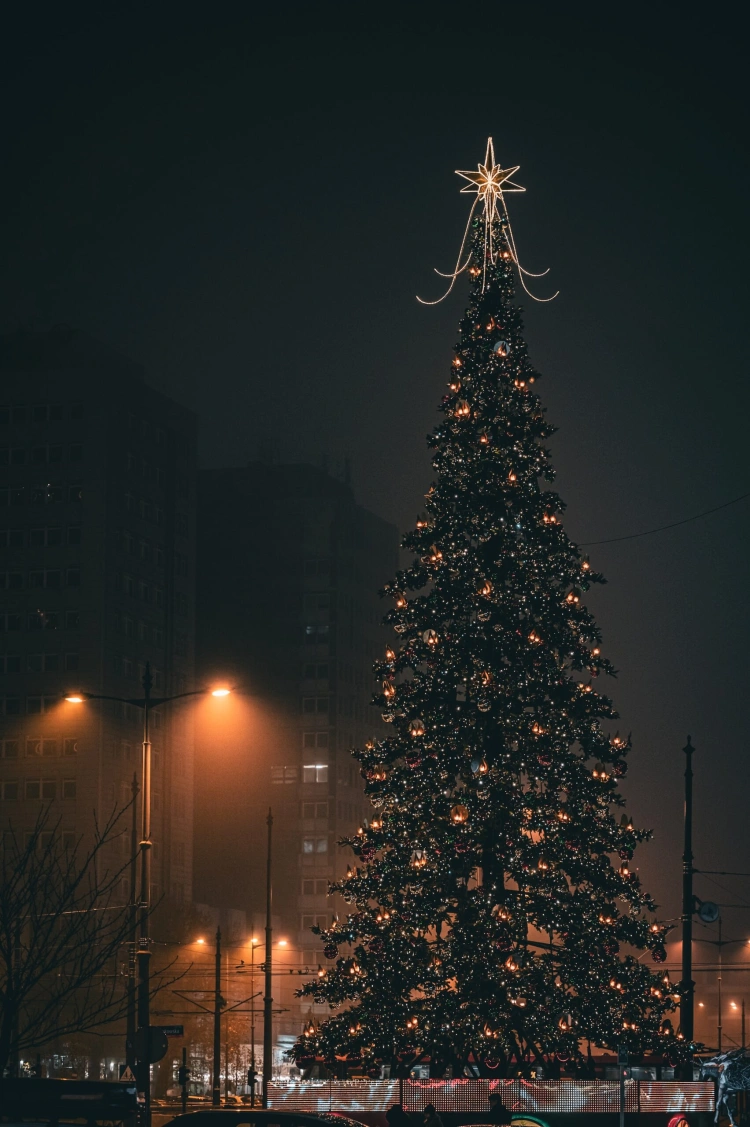 Najkrajšie vianočné stromčeky, ktoré tento rok zdobia mestá. Aké sú Vianoce vo svete?_8