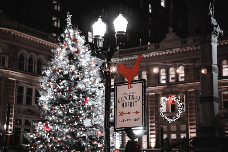 Najkrajšie vianočné stromčeky, ktoré tento rok zdobia mestá. Aké sú Vianoce vo svete?_12