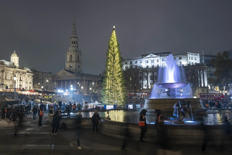 Najkrajšie vianočné stromčeky, ktoré tento rok zdobia mestá. Aké sú Vianoce vo svete?_13