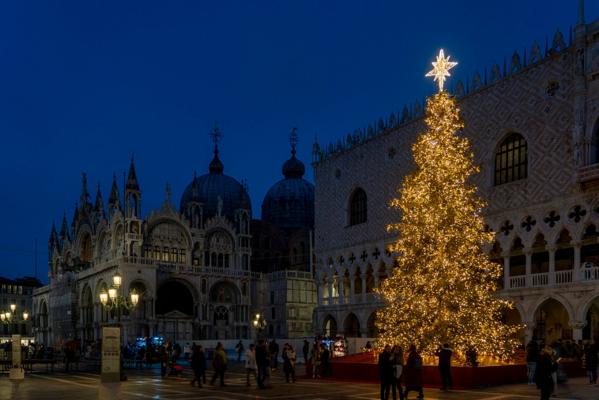Najkrajšie vianočné stromčeky, ktoré tento rok zdobia mestá. Aké sú Vianoce vo svete?