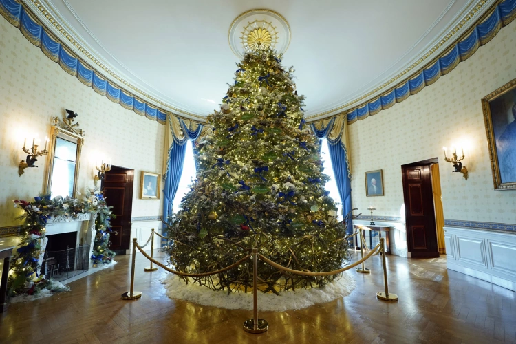 Najkrajšie vianočné stromčeky, ktoré tento rok zdobia mestá. Aké sú Vianoce vo svete?_17