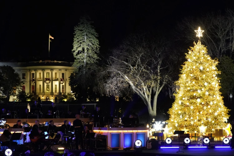 Najkrajšie vianočné stromčeky, ktoré tento rok zdobia mestá. Aké sú Vianoce vo svete?_16