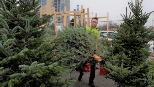 Kde si pred Vianocami privyrobiť? Ponúk na brigády je o tretinu viac ako vlani