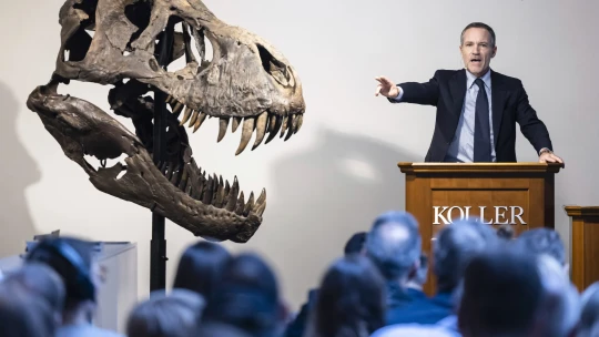 Každá z jeho kostí stála 166-tisíc eur: V Zürichu vydražili „puzzle“ z T-rexa