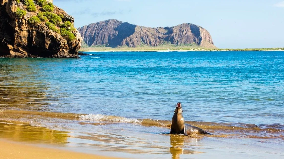 Ostrov, ktorý inšpiroval Darwina. Galapágy sa potichu zmenili na vychytenú turistickú destináciu